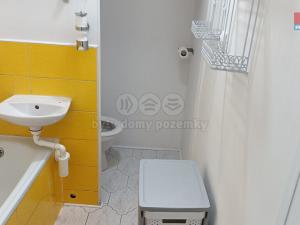 Pronájem bytu 1+1, Písek - Budějovické Předměstí, třída Přátelství, 36 m2