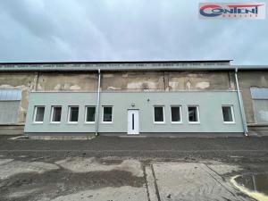 Pronájem výrobních prostor, Kladno - Dubí, Dubská, 1542 m2