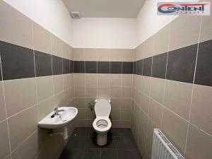Pronájem výrobních prostor, Kladno - Dubí, Dubská, 1542 m2