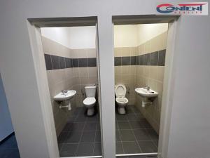 Pronájem výrobních prostor, Kladno - Dubí, Dubská, 1542 m2