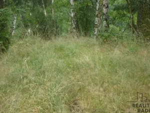 Prodej zahrady, Krušovice, 2000 m2