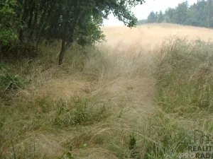 Prodej zahrady, Krušovice, 2000 m2