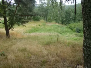 Prodej zahrady, Krušovice, 2000 m2