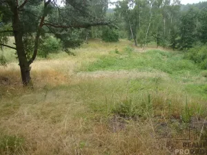 Prodej zahrady, Krušovice, 2700 m2