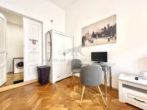 Pronájem bytu 1+kk, Praha - Nové Město, Vodičkova, 29 m2