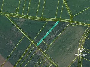 Prodej podílu pole, Smidary, 240 m2