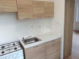 Pronájem bytu 1+1, Opava - Předměstí, Nerudova, 34 m2