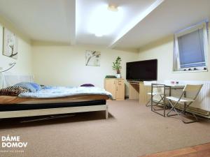 Pronájem bytu 1+kk, Zlín - Prštné, L. Váchy, 26 m2