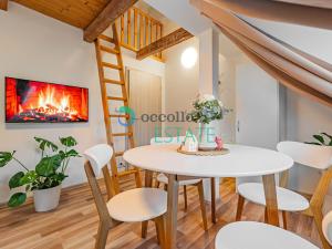 Pronájem apartmánu, Karlovy Vary, Petřín, 337 m2
