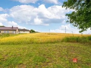 Prodej pozemku pro bydlení, Krhov, 1488 m2