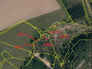 Prodej lesa, Jihlava, 1015 m2