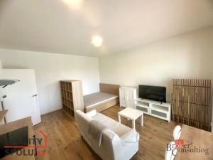 Pronájem bytu 1+kk, Brno - Trnitá, Křenová, 32 m2