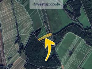 Prodej louky, Nezdenice, 2745 m2