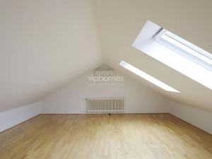 Pronájem bytu 6+kk a větší, Praha - Braník, Psohlavců, 300 m2