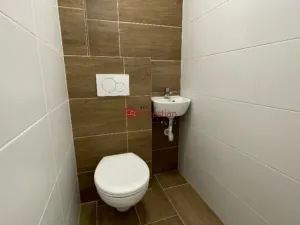 Pronájem bytu 3+kk, Teplice - Trnovany, Antonína Sochora, 80 m2