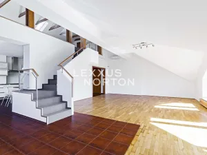 Pronájem bytu 6+kk a větší, Praha - Braník, Psohlavců, 290 m2