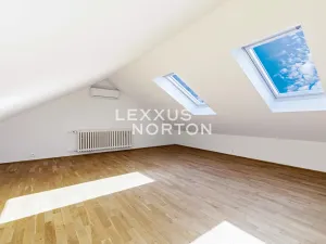 Pronájem bytu 6+kk a větší, Praha - Braník, Psohlavců, 290 m2