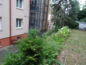 Pronájem bytu 1+1, Praha - Žižkov, Na vrcholu, 35 m2