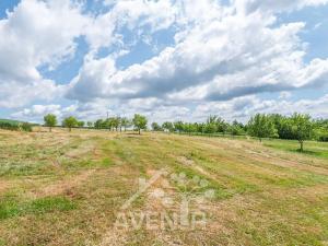 Prodej pozemku pro bydlení, Lačnov, 5017 m2