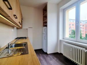 Pronájem bytu 2+1, Brno, Úvoz, 53 m2