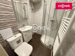 Pronájem bytu 1+kk, Zlín - Kudlov, 30 m2