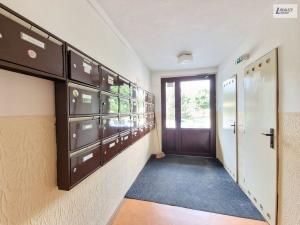 Prodej bytu 1+1, Příbram - Příbram VIII, Čechovská, 43 m2