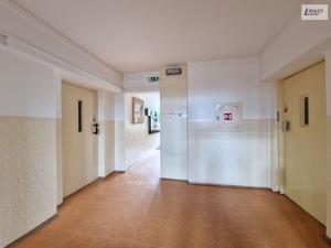 Prodej bytu 1+1, Příbram - Příbram VIII, Čechovská, 43 m2