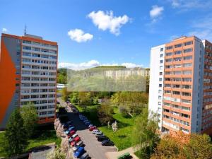 Pronájem bytu 1+kk, Chomutov, Seifertova, 20 m2