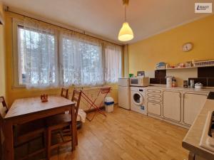 Prodej bytu 1+1, Příbram - Příbram III, Ryneček, 42 m2
