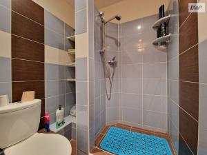 Prodej bytu 1+1, Příbram - Příbram III, Ryneček, 42 m2