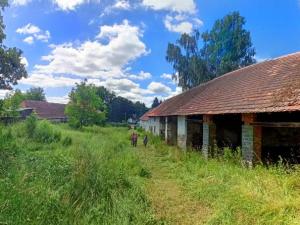 Prodej zemědělské usedlosti, Mišovice, 580 m2
