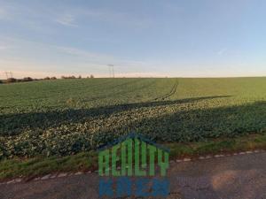 Prodej komerčního pozemku, Plaňany - Blinka, 132775 m2