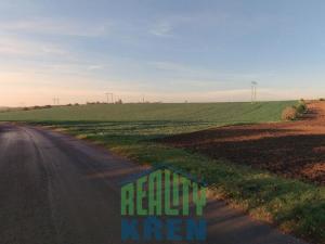 Prodej komerčního pozemku, Plaňany - Blinka, 132775 m2