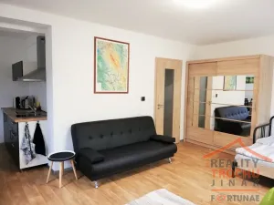 Prodej bytu 1+1, Říčky v Orlických horách, 41 m2