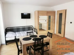Prodej bytu 1+1, Říčky v Orlických horách, 32 m2