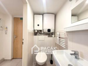 Pronájem bytu 1+kk, Olomouc - Nová Ulice, Litovelská, 27 m2