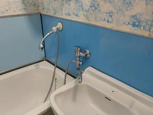 Pronájem bytu 2+1, Valašské Meziříčí - Krásno nad Bečvou, Seifertova, 60 m2