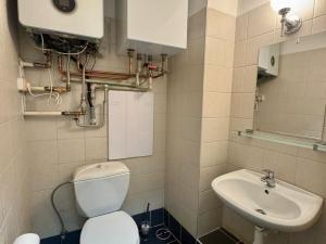 Pronájem bytu 1+kk, Pardubice - Bílé Předměstí, Štrossova, 28 m2