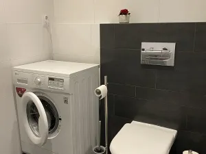 Pronájem bytu 1+kk, Praha - Letňany, Nepomuckých, 45 m2