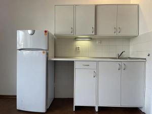 Pronájem bytu 1+kk, Brno, Staňkova, 25 m2