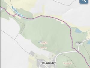 Prodej lesa, Kladruby, 189 m2