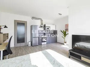 Prodej bytu 1+kk, Praha - Vysočany, Strnadových, 34 m2