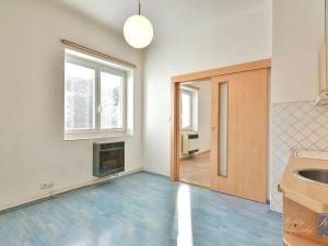 Prodej bytu 1+1, Velké Březno, 32 m2