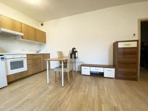 Pronájem bytu 1+kk, Praha - Žižkov, Olšanská, 35 m2