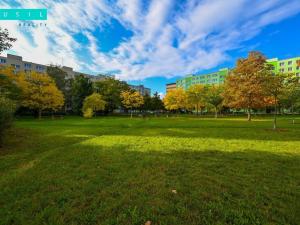 Pronájem bytu 1+1, Olomouc - Nové Sady, Trnkova, 35 m2
