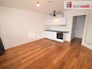Prodej bytu 1+kk, Praha - Vinohrady, Perucká, 27 m2