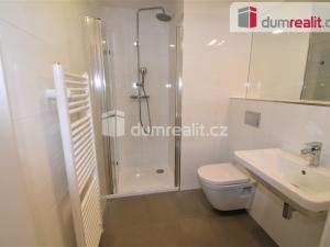 Prodej bytu 1+kk, Praha - Vinohrady, Perucká, 27 m2