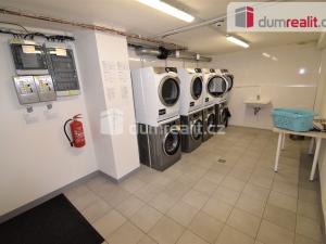 Prodej bytu 1+kk, Praha - Vinohrady, Perucká, 27 m2