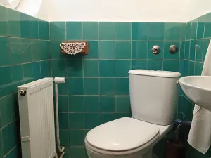 Prodej rodinného domu, Svratka, Čsl. armády, 182 m2