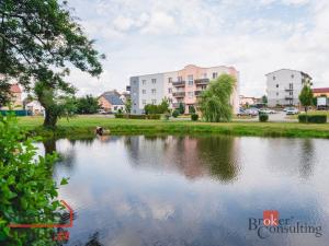 Prodej bytu 2+kk, Zbůch, Náměstí, 60 m2